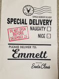 santa sack special delivery